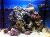 IMG_0482forum.jpg