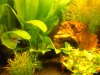 Aquarium.jpg