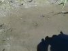 comp_DSC00256.jpg