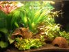 Aquarium.jpg