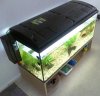 Aquarium_13.jpg
