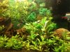 Aquarium_Neu.jpg