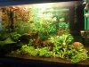 Aquarium_Neu3.jpg