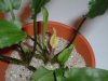 Bild3 009.jpg