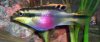 DSCN2083.JPG