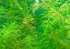 DSC01190_.jpg