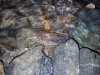2011-08-11 13.56.31.jpg