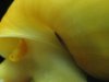 Bild 029.jpg