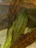 3009201120.jpg