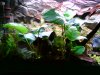 DSC02479.JPG
