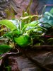 DSC02489.JPG
