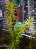 DSC02485.JPG