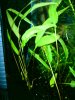 DSC02484.JPG