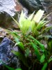 DSC02490.JPG