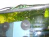 k-DSCF2499.JPG
