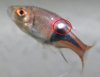 DSCN6014.JPG