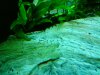 DSC02536.JPG