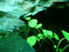 DSC02537.JPG