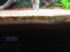 IMG_0301.JPG