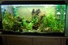 Aquarium200l.JPG