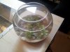 2012-04-05 10.44.26.jpg