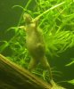 DSCF1032.JPG