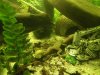 DSCF1068.JPG