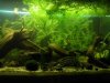 DSCF1051.JPG