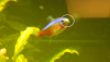 Unbenannt.png
