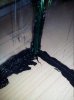 20120503_121143.jpg