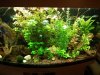 DSCF1338.JPG