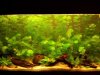 2012_06_29_164540.jpg