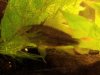2012_07_02_184749.jpg