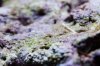 20120717_Aquarium_005.jpg