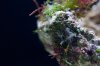 20120717_Aquarium_004.jpg