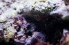 20120717_Aquarium_002.jpg
