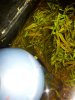 IMG_2012071939794.jpg