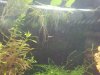 20120719_202454.jpg