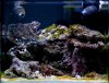 20120722_19_22_16_16086.jpg