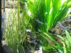 20120403_185152.jpg