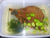 IMG_2012072523256.jpg