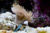 20120728_13_58_50_16100.jpg