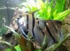 20120727_200808.jpg