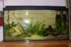 aquarium 001.JPG