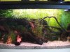 K800_2012_0809fischli0001.JPG