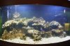 400l.jpg
