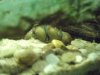 l134 001.JPG