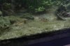 comp_Aqua_001.jpg
