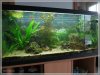 comp_Aqua_Geschaeft_002.jpg