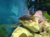 IMG_0658.1.jpg